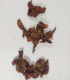 Newport Jerky Company - Moroccan Octopus Jerky